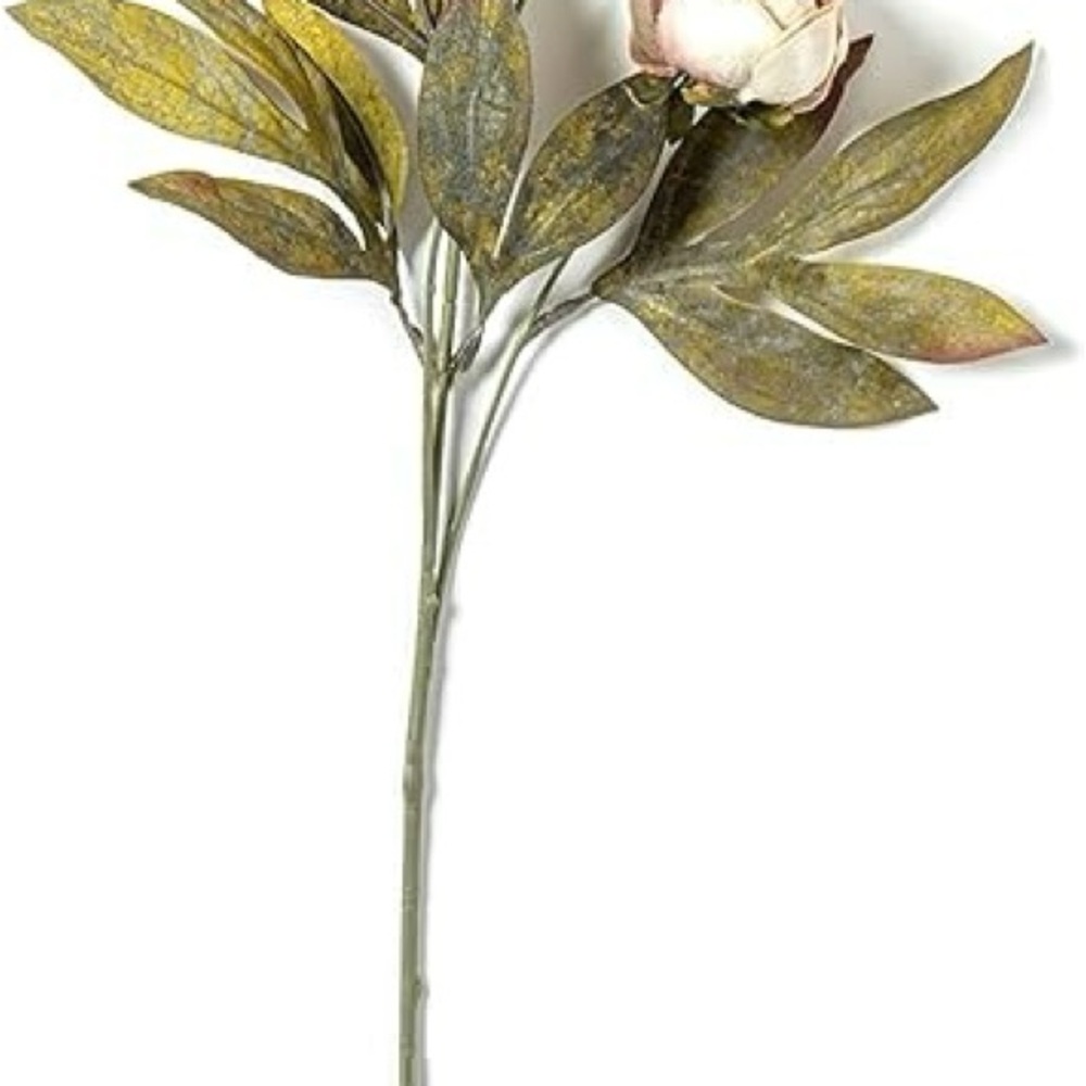 Elegant Ashland Tan & Cream Peonies- Selling in sets of 8 for $120 - Picture 4 of 7
